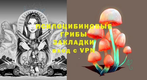 мет Арсеньев